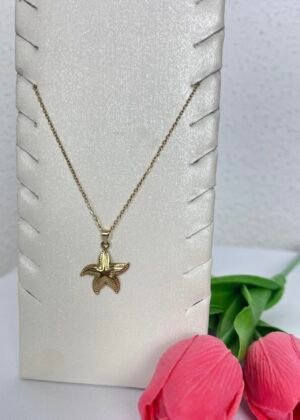 Colgante Estrella Mar