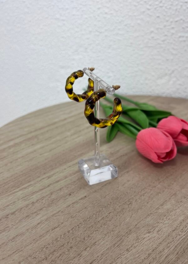 Pendientes Aros Carey